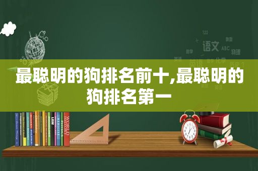 最聪明的狗排名前十,最聪明的狗排名第一