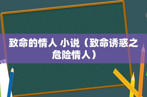 致命的情人 小说（致命诱惑之危险情人）