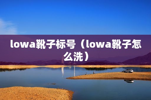 lowa靴子标号（lowa靴子怎么洗）