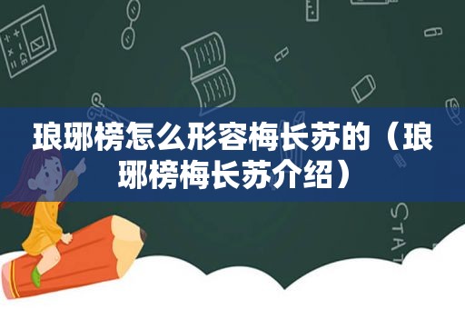 琅琊榜怎么形容梅长苏的（琅琊榜梅长苏介绍）