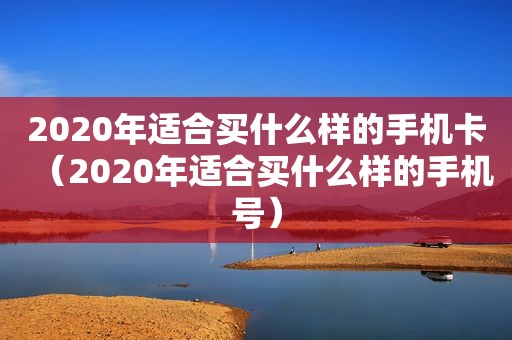 2020年适合买什么样的手机卡（2020年适合买什么样的手机号）