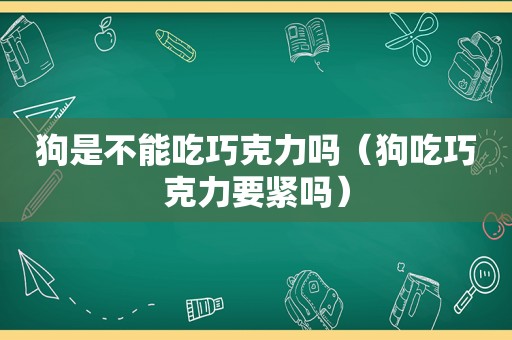 狗是不能吃巧克力吗（狗吃巧克力要紧吗）