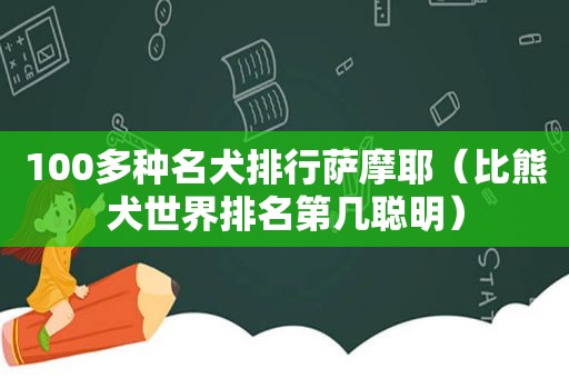 100多种名犬排行萨摩耶（比熊犬世界排名第几聪明）