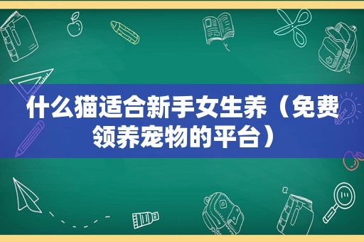 什么猫适合新手女生养（免费领养宠物的平台）