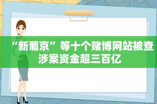 “ *** ”等十个 *** 网站被查 涉案资金超三百亿