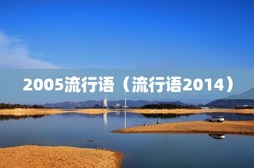 2005流行语（流行语2014）