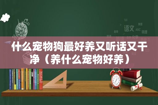 什么宠物狗最好养又听话又干净（养什么宠物好养）