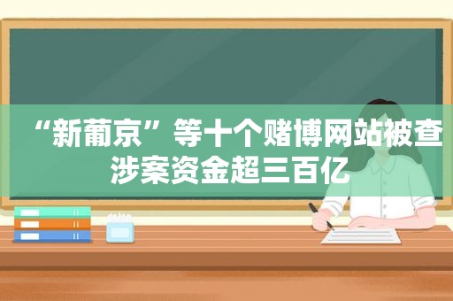 “ *** ”等十个 *** 网站被查 涉案资金超三百亿