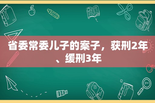 省委常委儿子的案子，获刑2年、缓刑3年