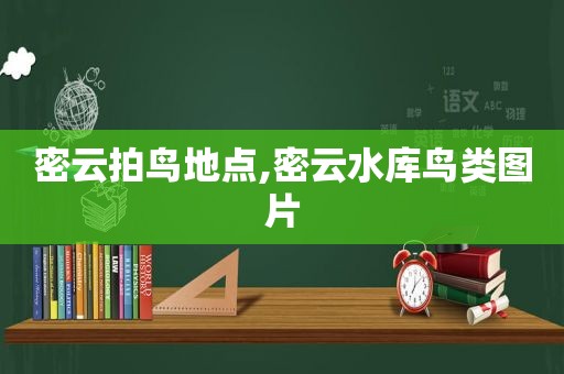 密云拍鸟地点,密云水库鸟类图片