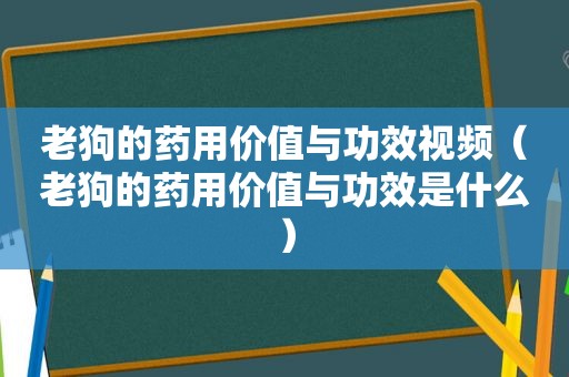 老狗的药用价值与功效视频（老狗的药用价值与功效是什么）