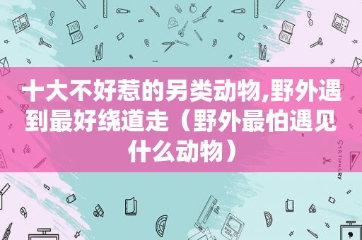 十大不好惹的另类动物,野外遇到最好绕道走（野外最怕遇见什么动物）