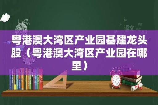 粤港澳大湾区产业园基建龙头股（粤港澳大湾区产业园在哪里）