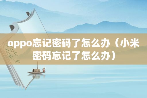 oppo忘记密码了怎么办（小米密码忘记了怎么办）