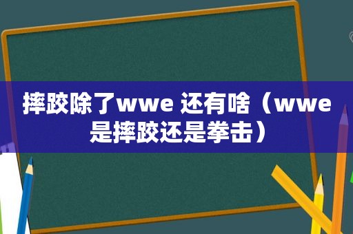 摔跤除了wwe 还有啥（wwe是摔跤还是拳击）  第1张