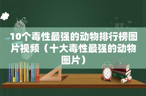 10个毒性最强的动物排行榜图片视频（十大毒性最强的动物图片）