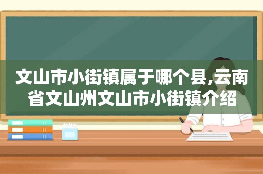 文山市小街镇属于哪个县,云南省文山州文山市小街镇介绍  第1张