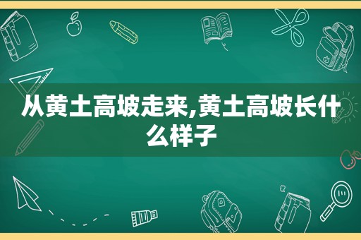 从黄土高坡走来,黄土高坡长什么样子