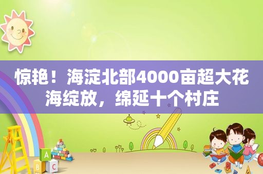 惊艳！海淀北部4000亩超大花海绽放，绵延十个村庄