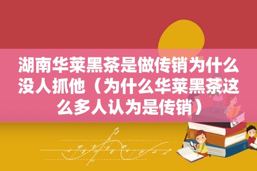 湖南华莱黑茶是做传销为什么没人抓他（为什么华莱黑茶这么多人认为是传销）