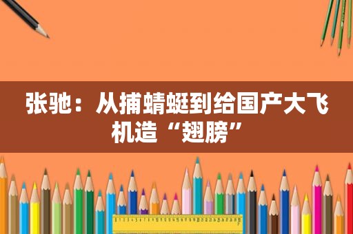 张驰：从捕蜻蜓到给国产大飞机造“翅膀”