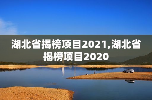 湖北省揭榜项目2021,湖北省揭榜项目2020