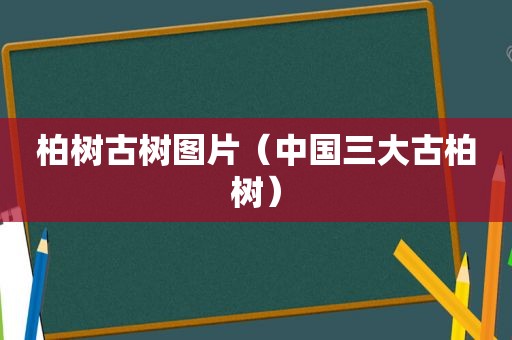 柏树古树图片（中国三大古柏树）