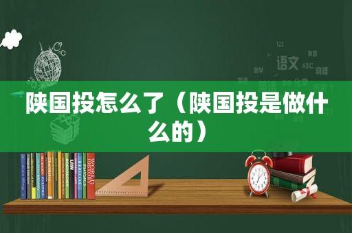 陕国投怎么了（陕国投是做什么的）