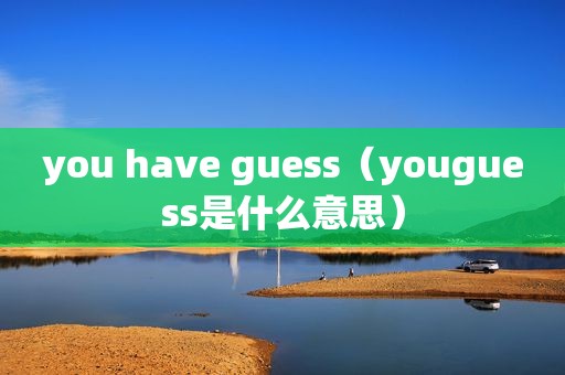 you have guess（youguess是什么意思）