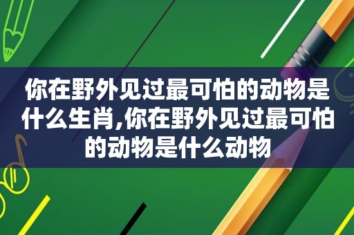 你在野外见过最可怕的动物是什么生肖,你在野外见过最可怕的动物是什么动物