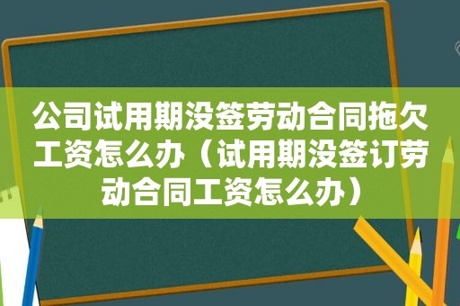 公司试用期没签劳动合同拖欠工资怎么办（试用期没签订劳动合同工资怎么办）