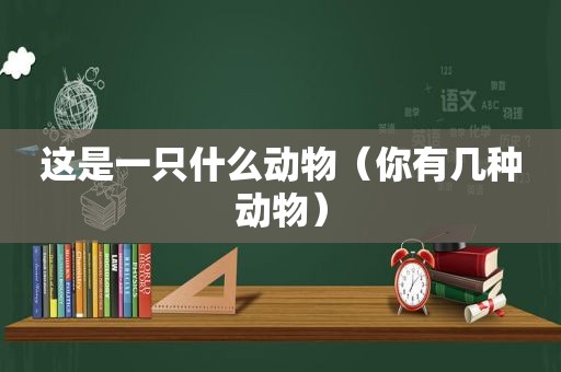 这是一只什么动物（你有几种动物）