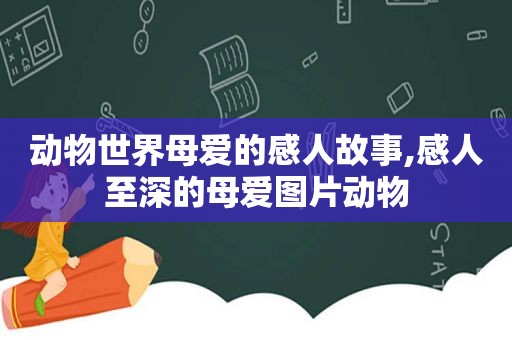 动物世界母爱的感人故事,感人至深的母爱图片动物