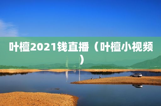 叶檀2021钱直播（叶檀小视频）