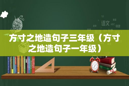 方寸之地造句子三年级（方寸之地造句子一年级）