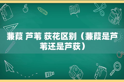 蒹葭 芦苇 荻花区别（蒹葭是芦苇还是芦荻）