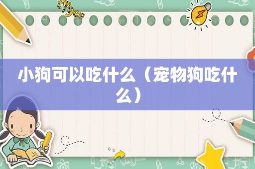 小狗可以吃什么（宠物狗吃什么）