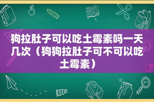 狗拉肚子可以吃土霉素吗一天几次（狗狗拉肚子可不可以吃土霉素）