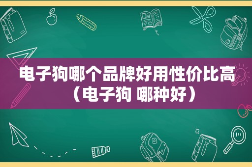 电子狗哪个品牌好用性价比高（电子狗 哪种好）