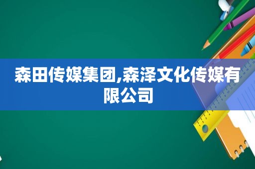 森田传媒集团,森泽文化传媒有限公司