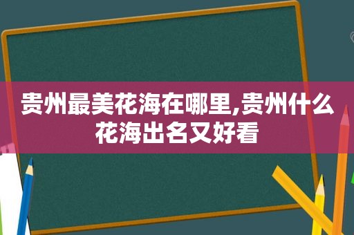 贵州最美花海在哪里,贵州什么花海出名又好看