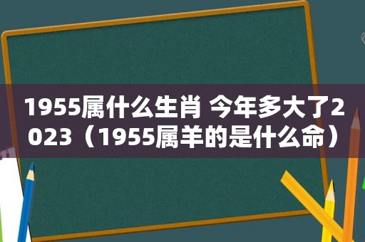 1955属什么生肖 今年多大了2023（1955属羊的是什么命）