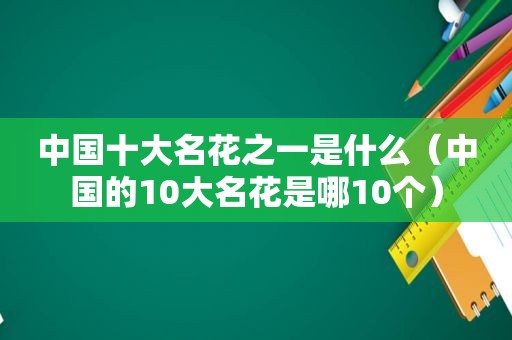 中国十大名花之一是什么（中国的10大名花是哪10个）