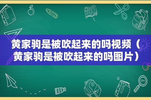 黄家驹是被吹起来的吗视频（黄家驹是被吹起来的吗图片）