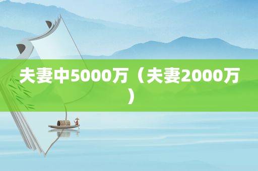 夫妻中5000万（夫妻2000万）