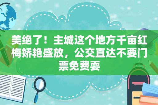 美绝了！主城这个地方千亩红梅娇艳盛放，公交直达不要门票免费耍