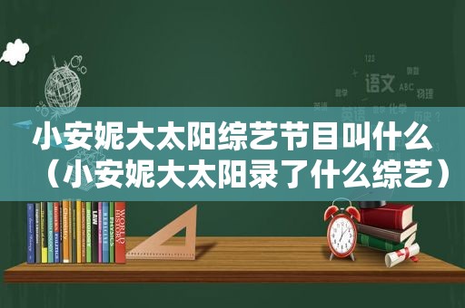 小安妮大太阳综艺节目叫什么（小安妮大太阳录了什么综艺）