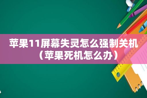 苹果11屏幕失灵怎么强制关机（苹果死机怎么办）