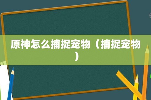 原神怎么捕捉宠物（捕捉宠物）