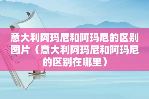 意大利阿玛尼和阿玛尼的区别图片（意大利阿玛尼和阿玛尼的区别在哪里）